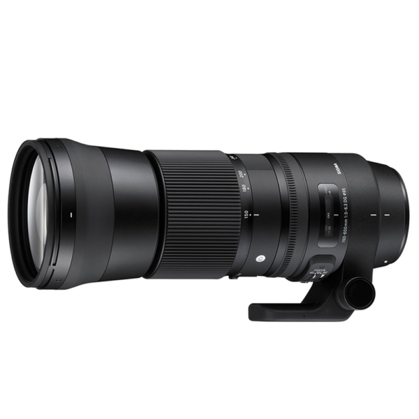 SIGMA 150-600mm F5-6.3 DG DN OS Sports 公司貨台南鏡頭收購